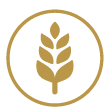 Bevat gluten